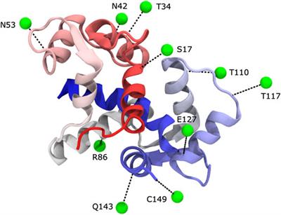 An Integrative Approach to Determine 3D Protein Structures Using Sparse Paramagnetic NMR Data and Physical Modeling